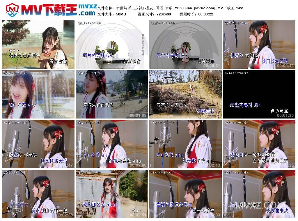 音阙诗听_王梓钰-羞花_国语_合唱_YE500944